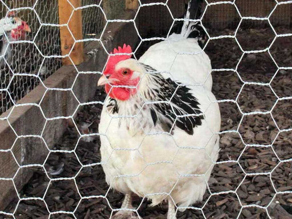 Vallado Malla Gallinera